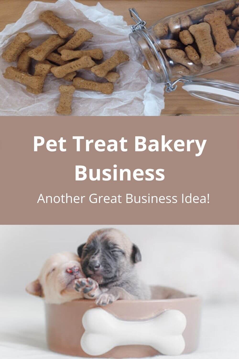 Pet Treat Bakery Business