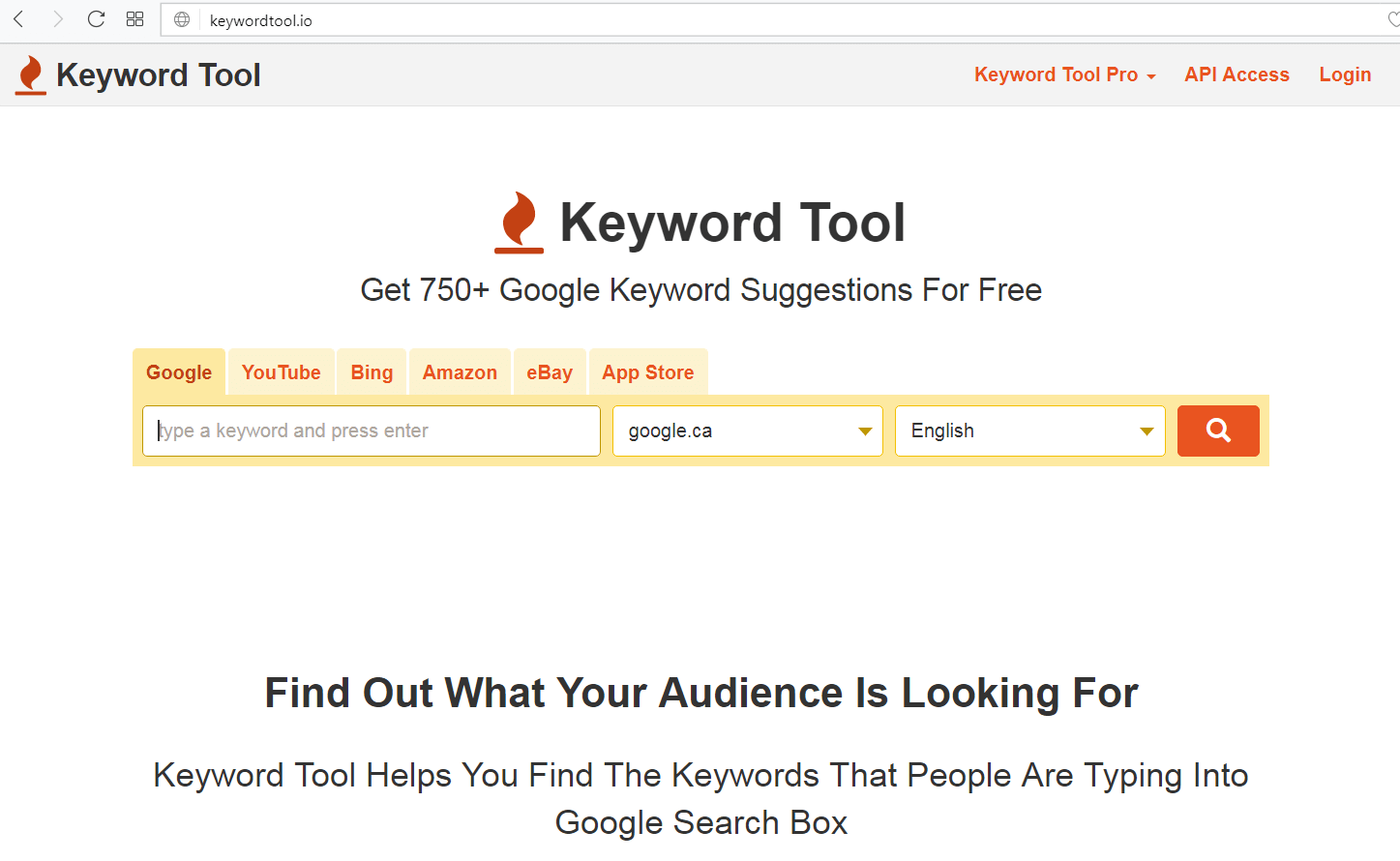 screen print of keywordtool.io's website