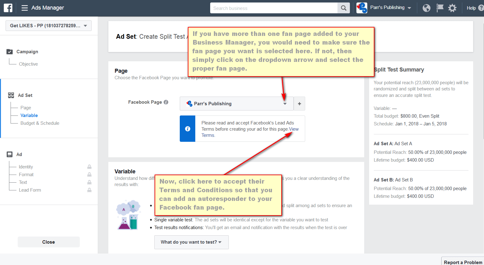 screen print showing where to click on Facebook's Terms and Conditions