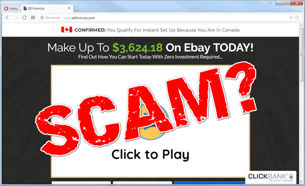 screen print of the EB Formula's website with "SCAM?" over top