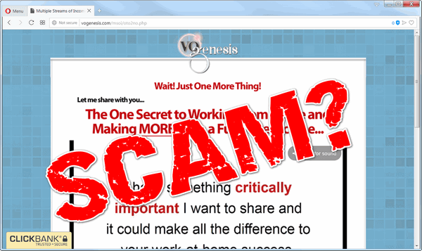 screen print of the Multiple Streams of Income website with SCAM? text on top