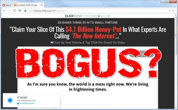screen print of Insider Profit Groups website with "BOGUS?" on top