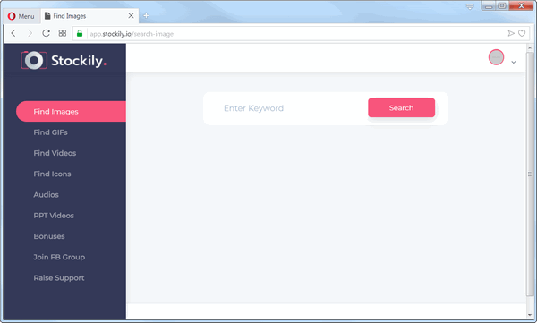 screen print of Stockily's Find Image search page in the membership area