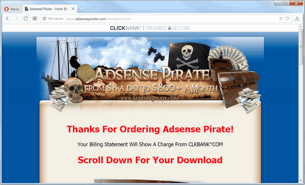 screen print of Adsense Pirate's Thank You page