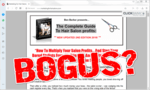 screen print of Marketing for Hair Salons website with "Bogus?" over top