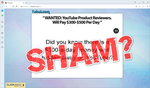 screen print of Tubleloom's website with "Sham?" written overtop