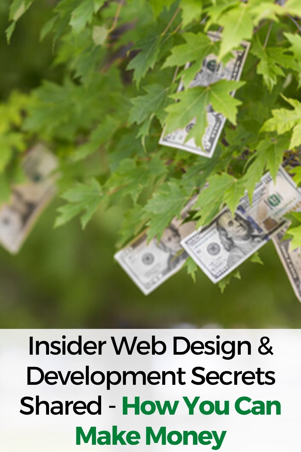 Insider Web Design and Development Secrets Shared