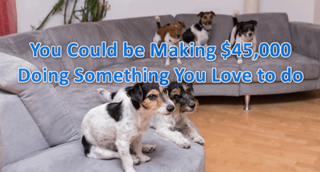 Start A Doggy Daycare Near Me Business Use Your Passion   Start A Doggy Daycare Near Me Business Header Image 1080x581 