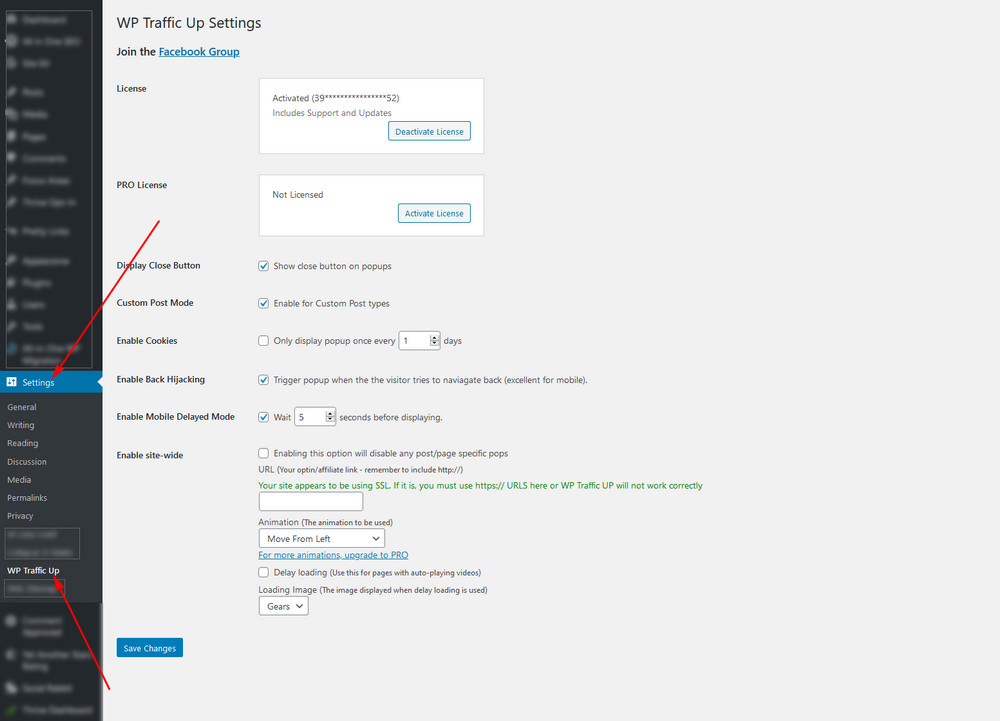 screen print of WP Traffic Up Settings