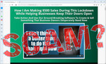 screen print of vendor's website with "SCAM?" overtop