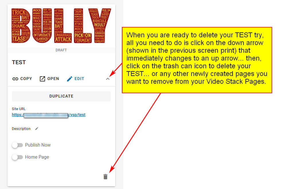 screen print showing you how to delete your test or unwanted video pages