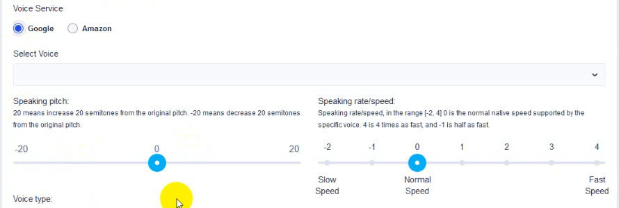 screen print of Google's voice settings