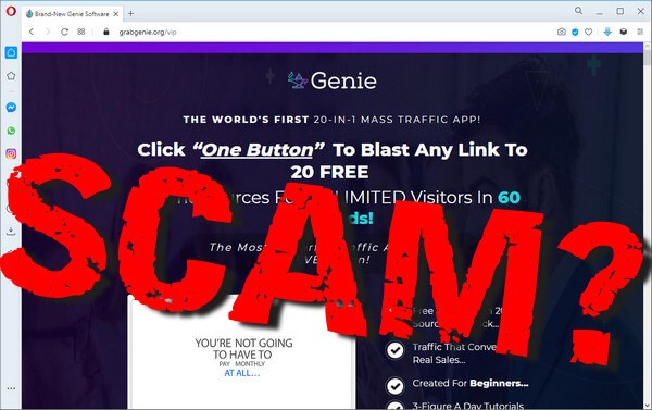 screen print of vendor's website with "SCAM?" overtop