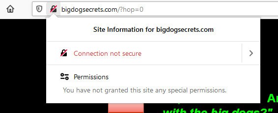 screen print showing vendor's site is NOT secure