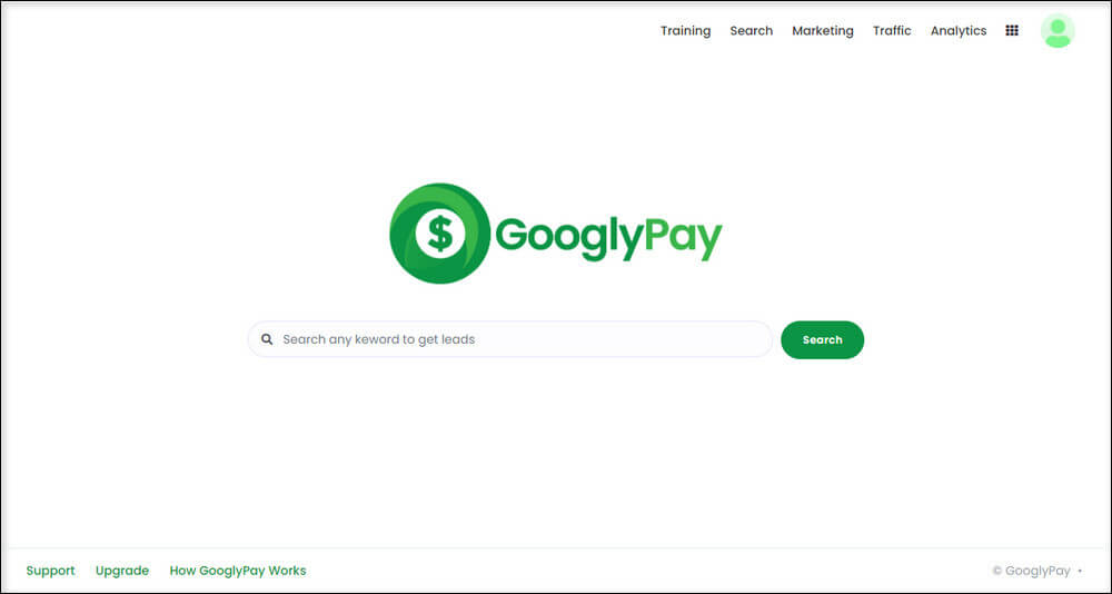 screen print of GooglyPay once logged in