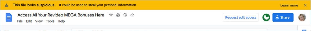 screen print of warning prompt on Google Doc found in bonuses