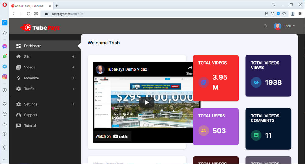 screen print of TubePayz dashboard