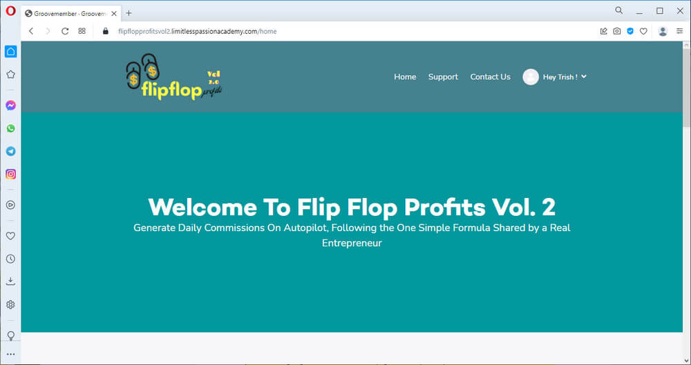 screen print after logging into Flip Flop Profits Vol 2